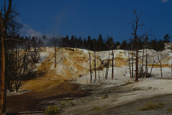 20000801   Yellowstone 065